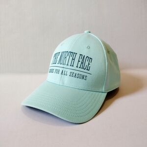 The North Face Blue Snapback